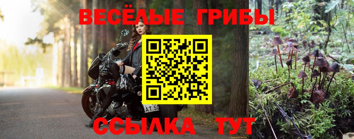 Галлюциногенные грибы мицелий Усинск